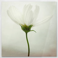AC-070W070