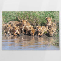 AL-120W080