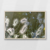 PN-093W062