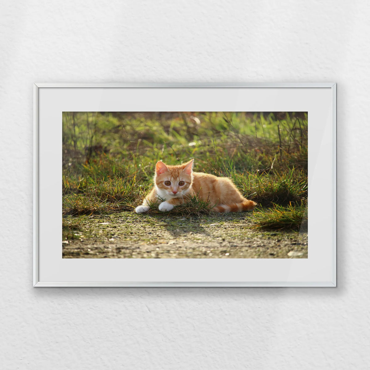 PSP060W040