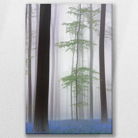 LW-050W075