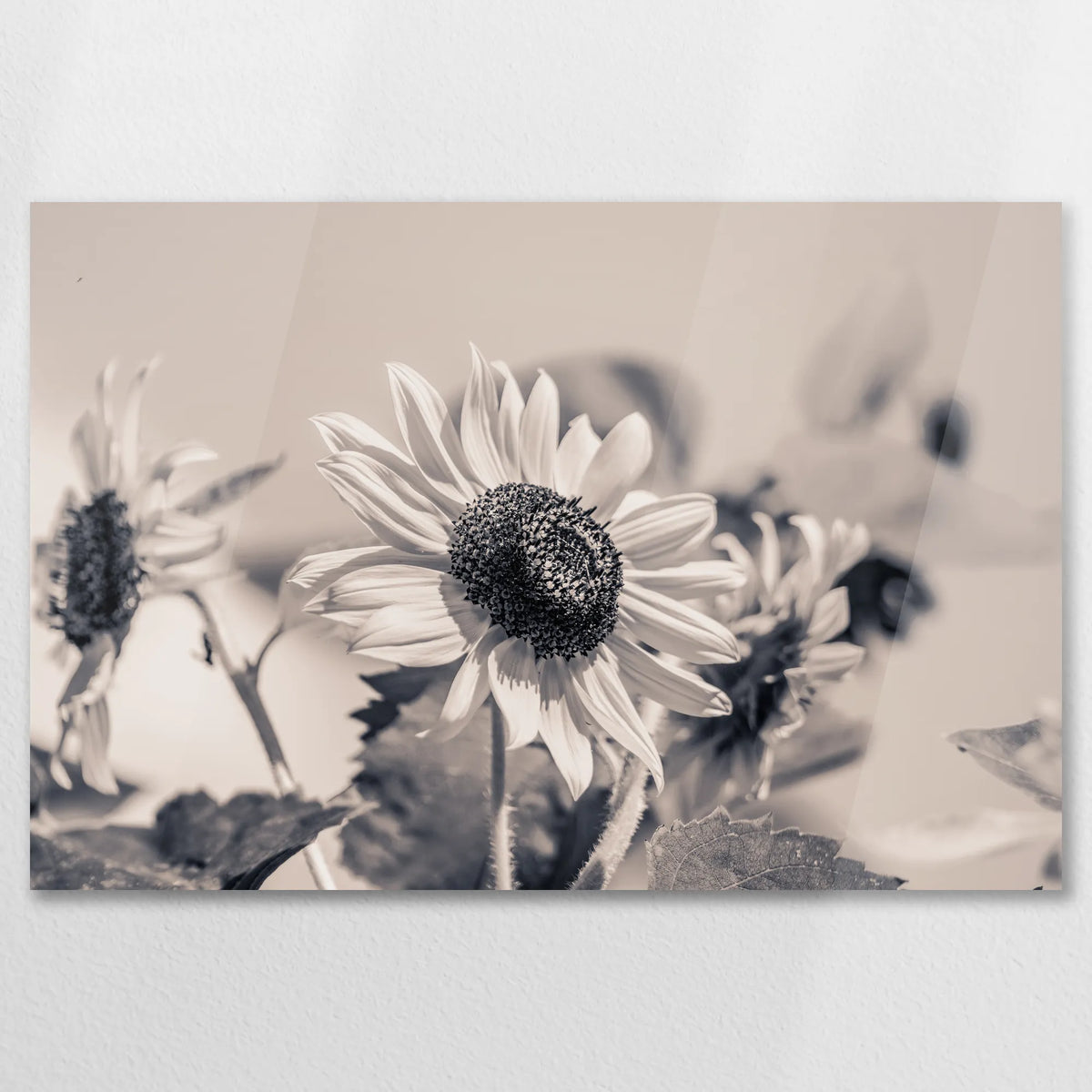 AC-075W050