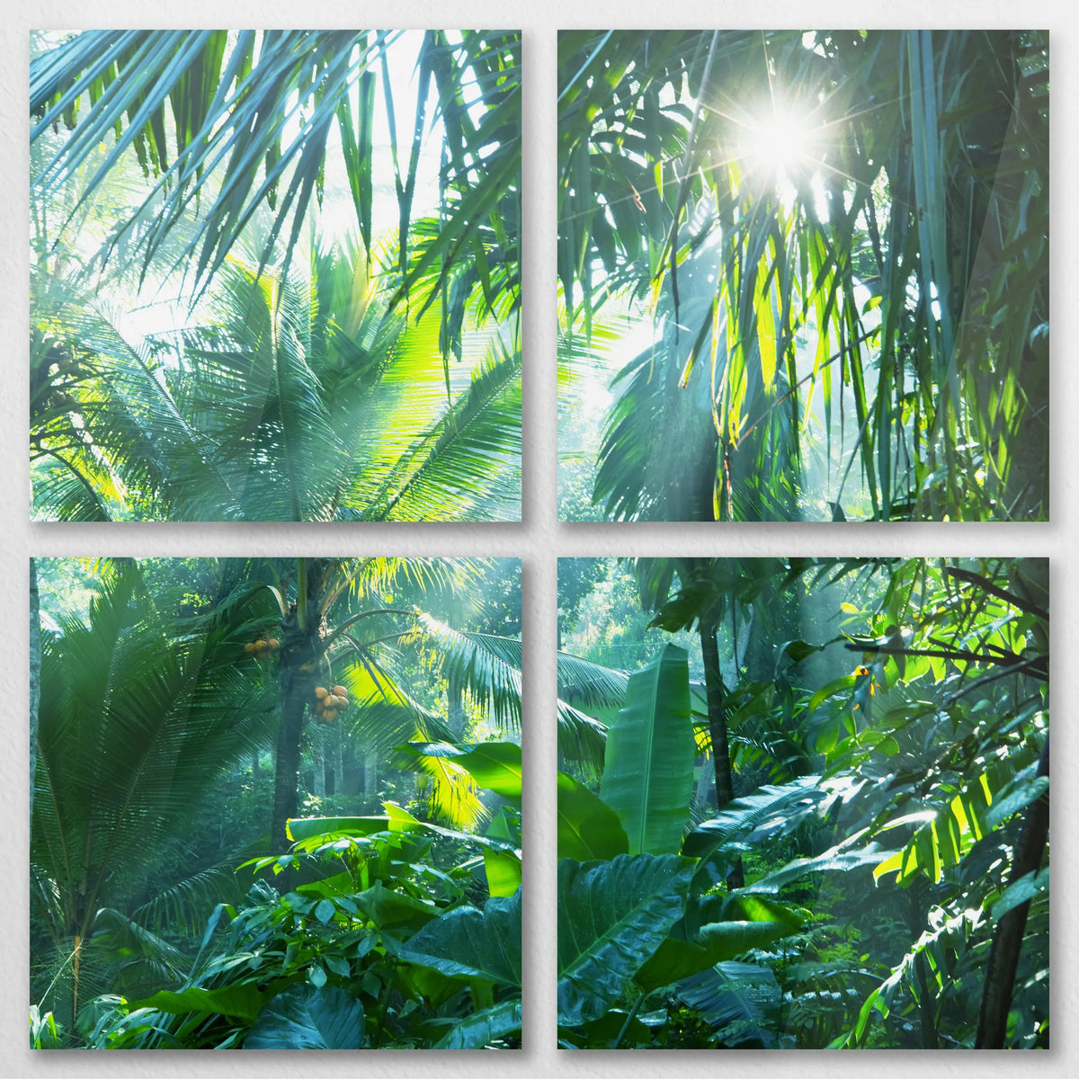 AC-100V100