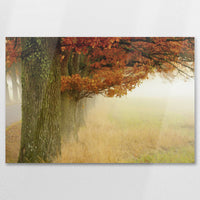 AC-075W050