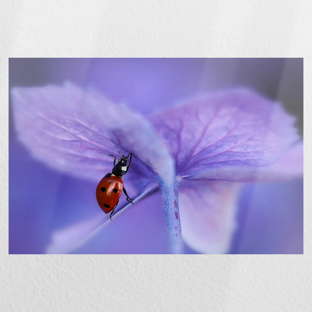 PO-030W020