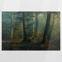 PO-045W030