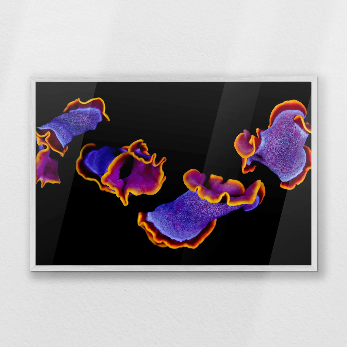 PW-093W062