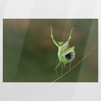 PO-120W080