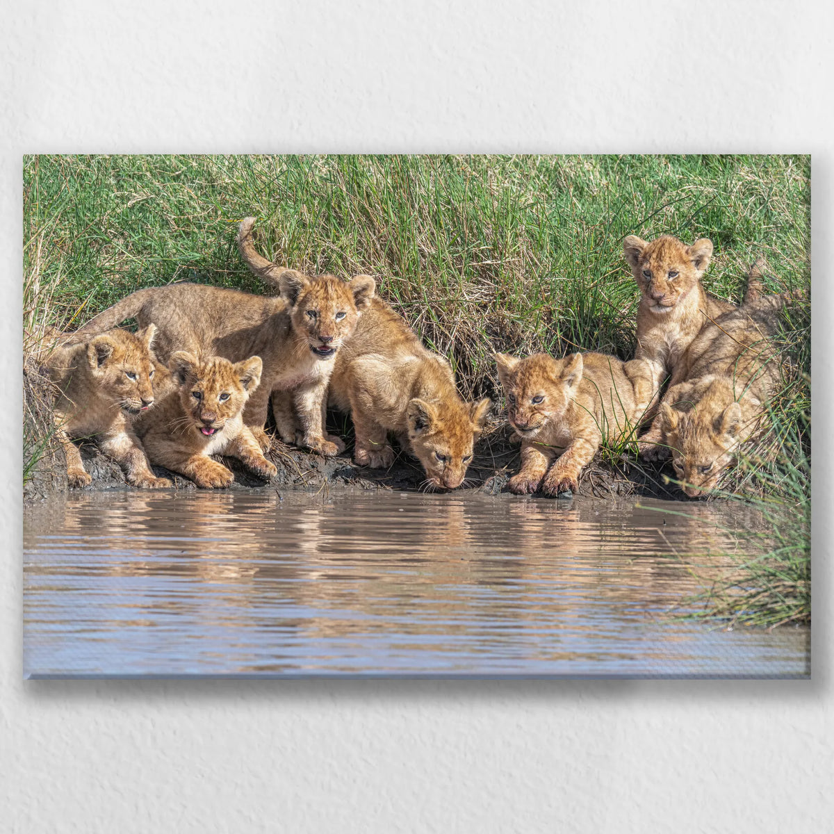 LW-045W030