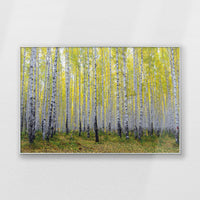 PS-120W080