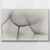 LW-045W030
