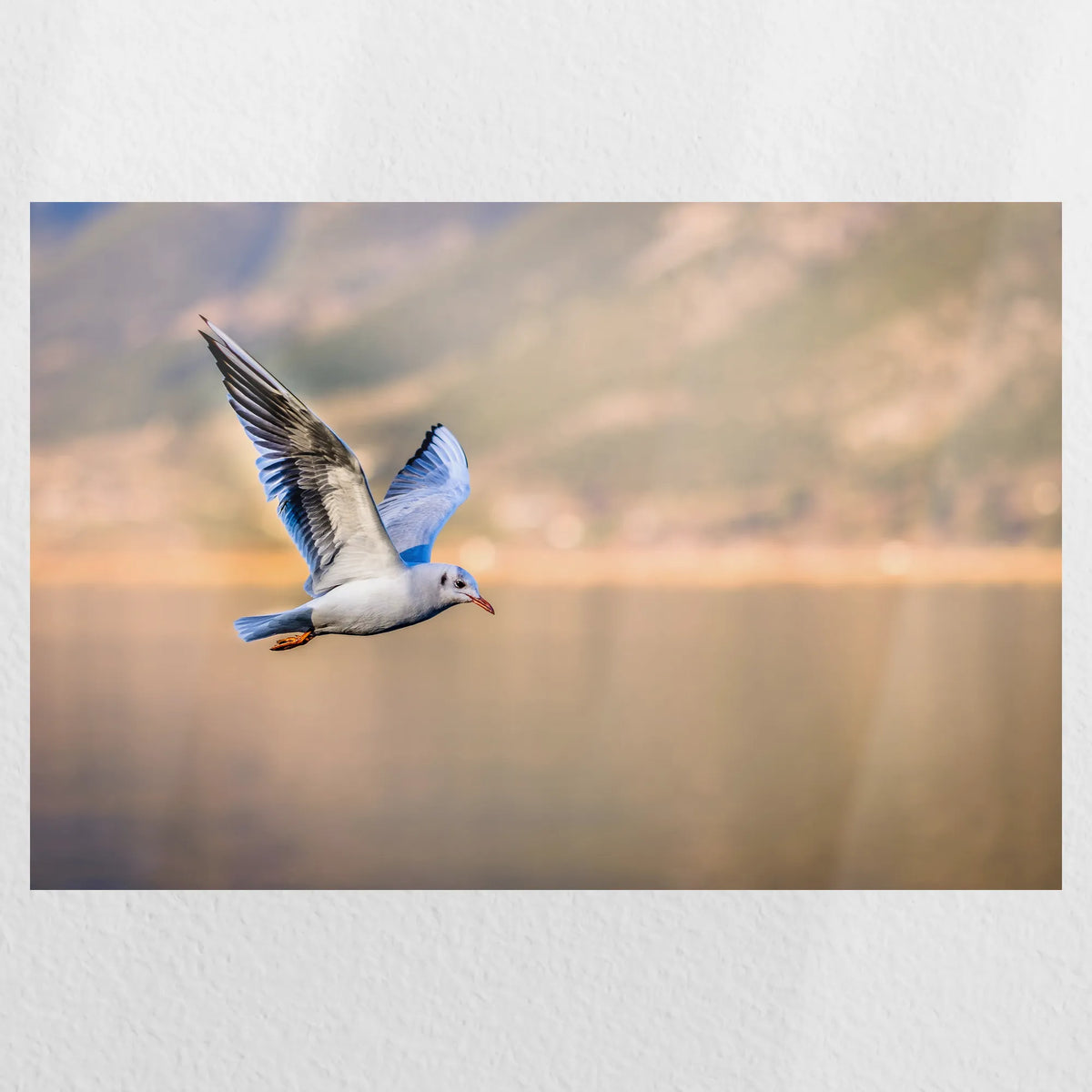 PO-045W030