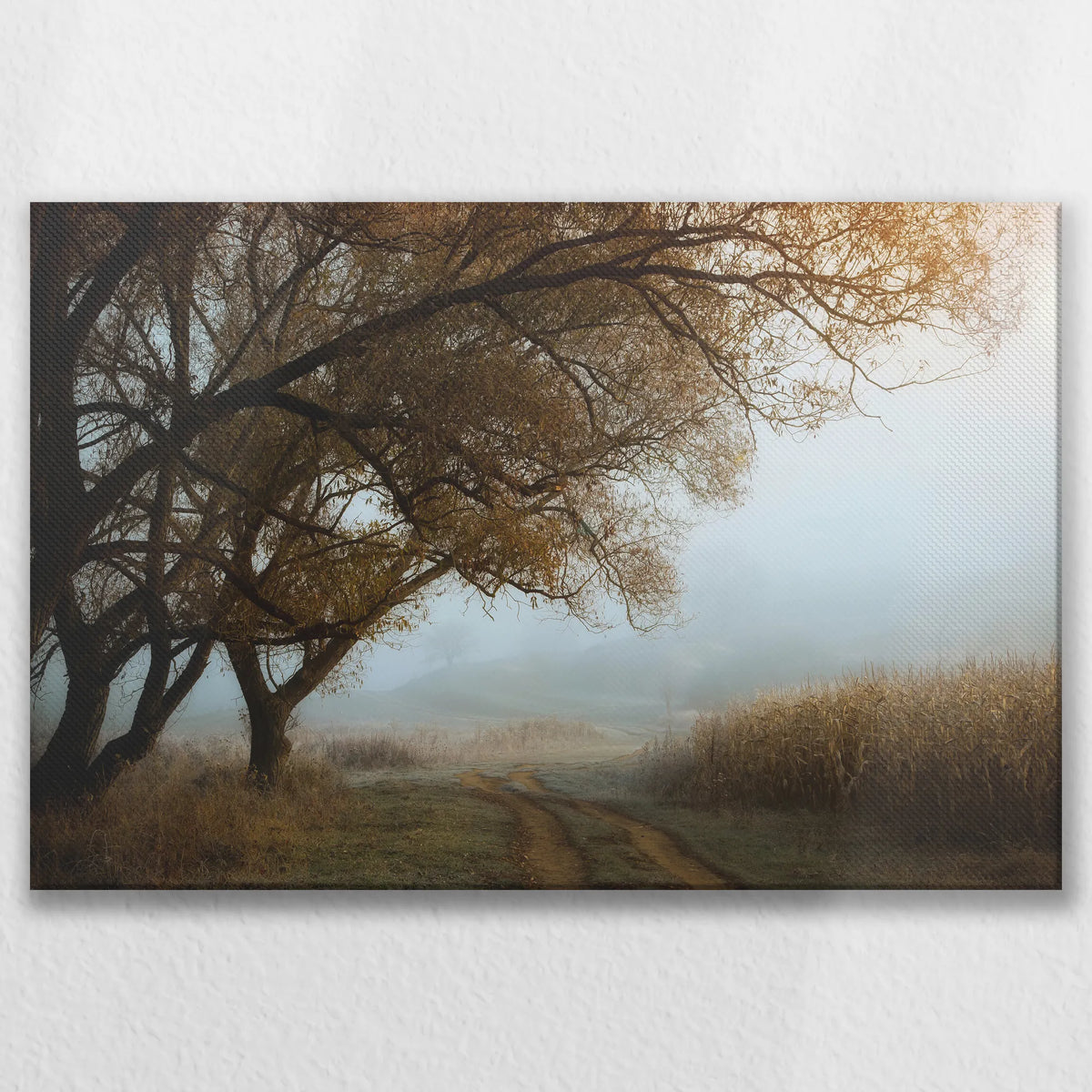 LW-075W050