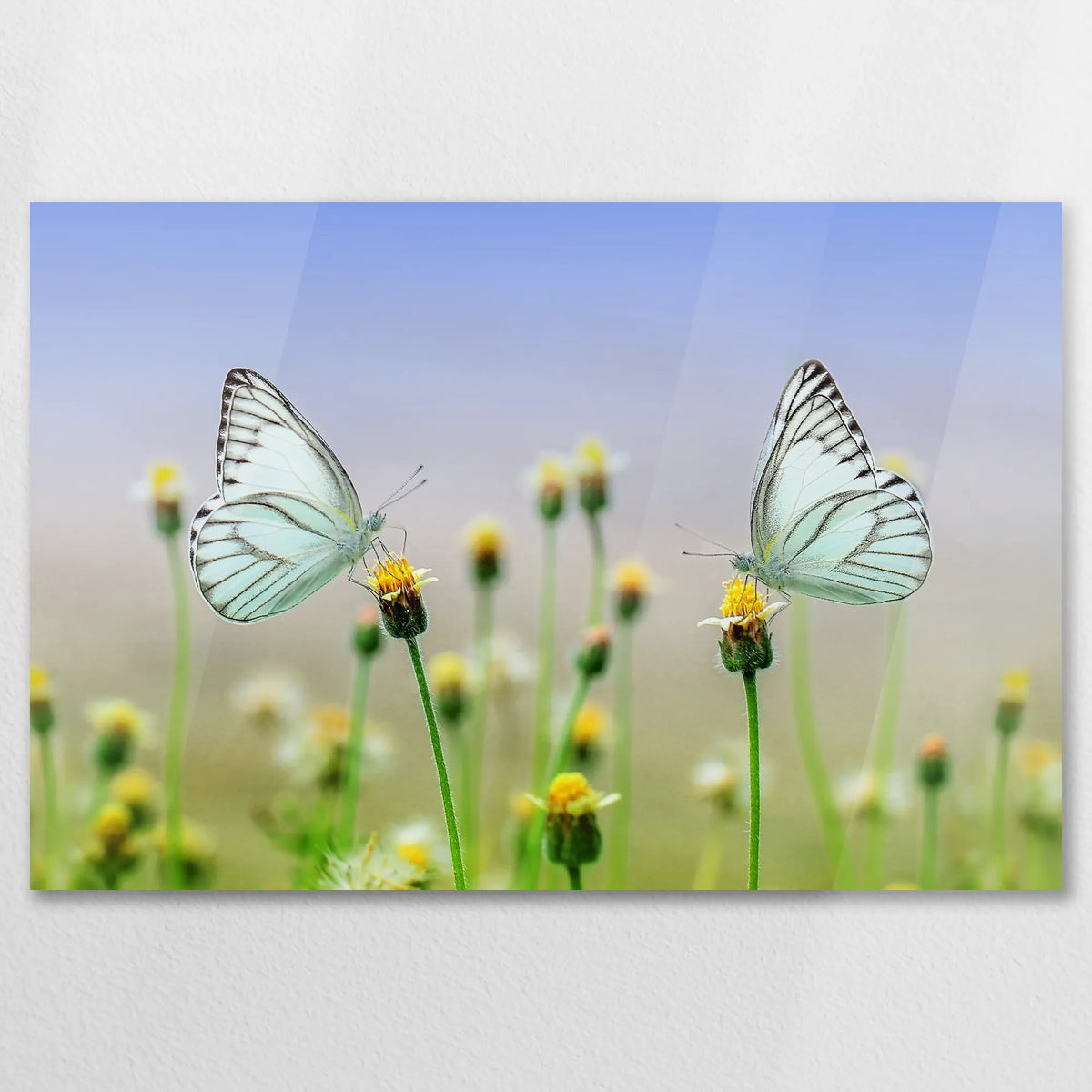 AC-090W060