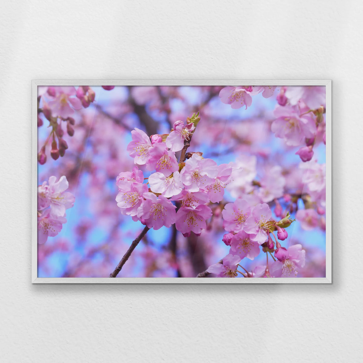 PW-093W062