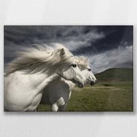 LW-030W020
