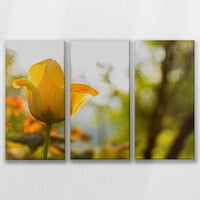 LW-090R060