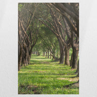 PO-030W045