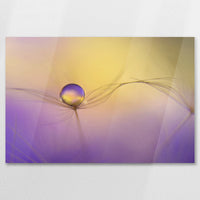 AC-075W050