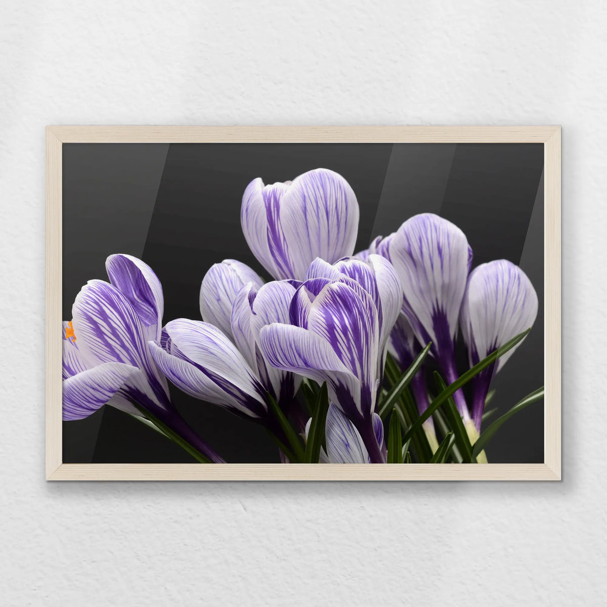 PN-060W040