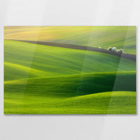 AC-075W050