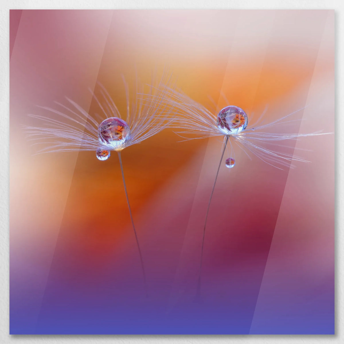 AC-070W070