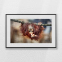 PBP060W040