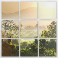 LW-270Z270