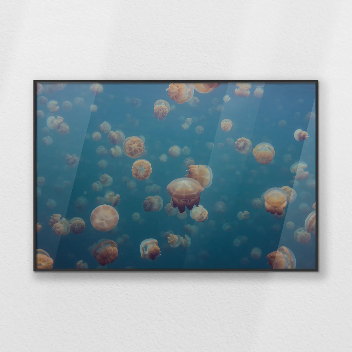 PB-093W062