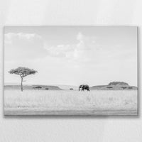 LW-075W050
