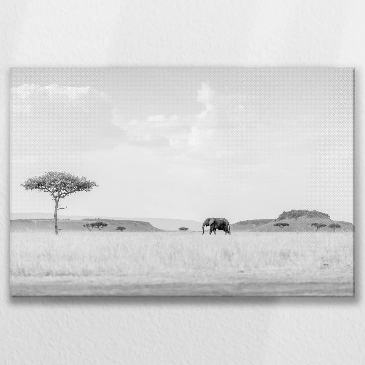 LW-075W050