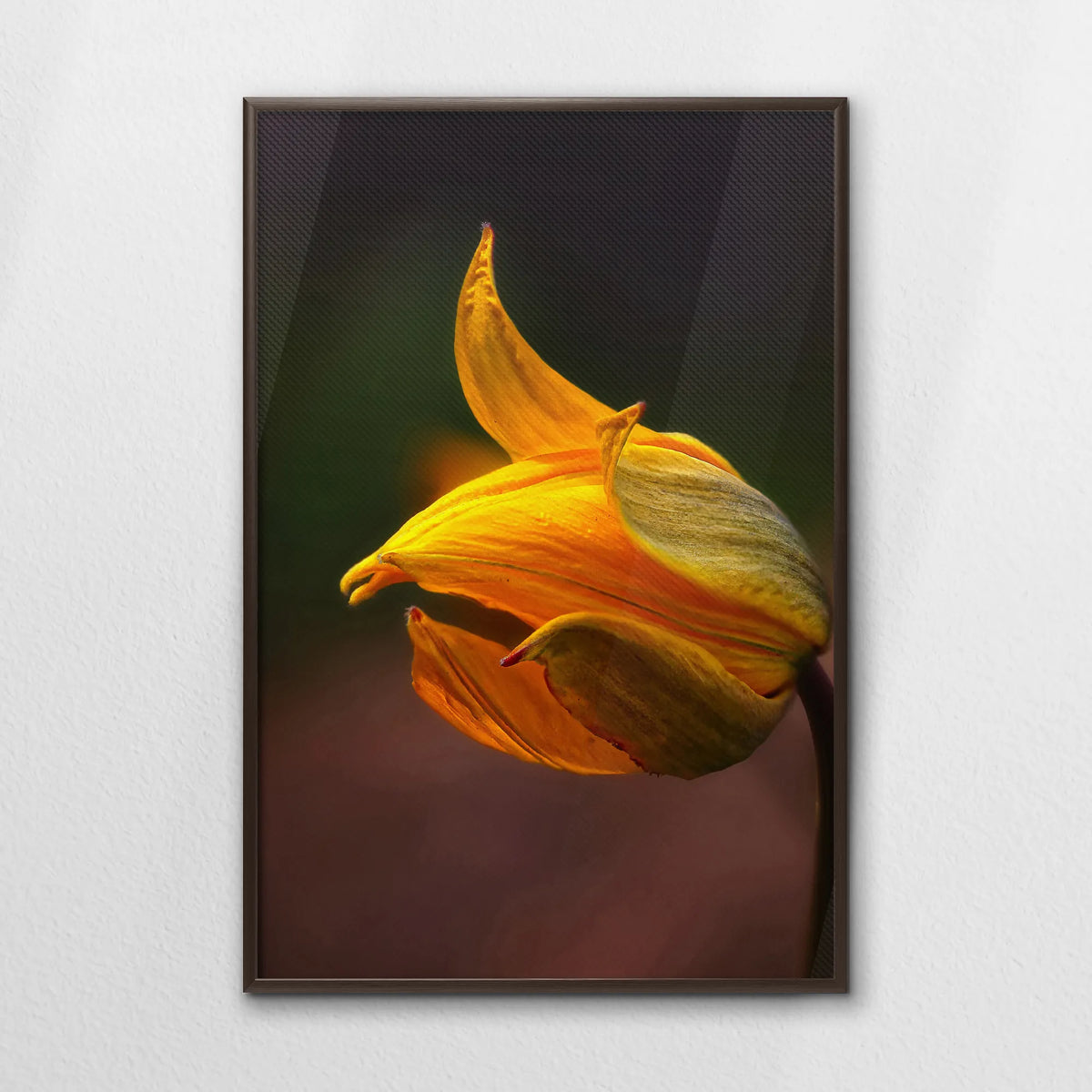 LWN070W100