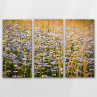 LW-120R080