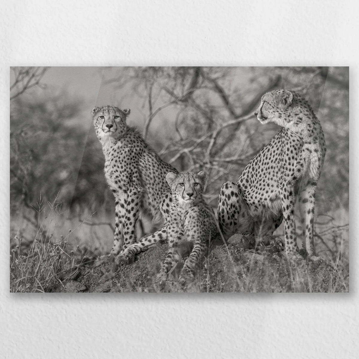AC-060W040