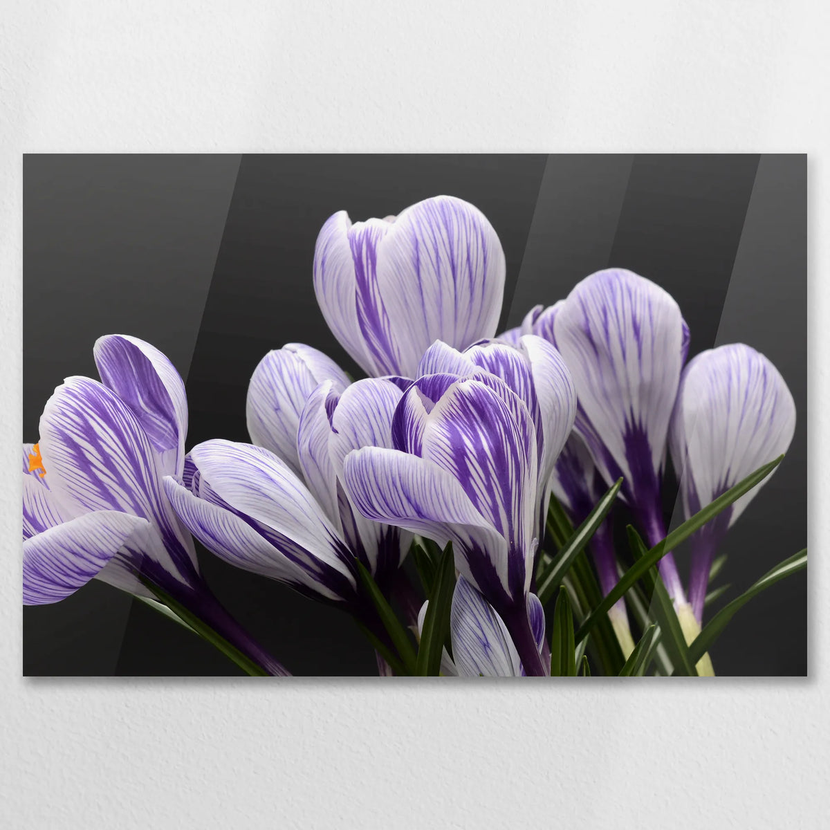 AC-090W060
