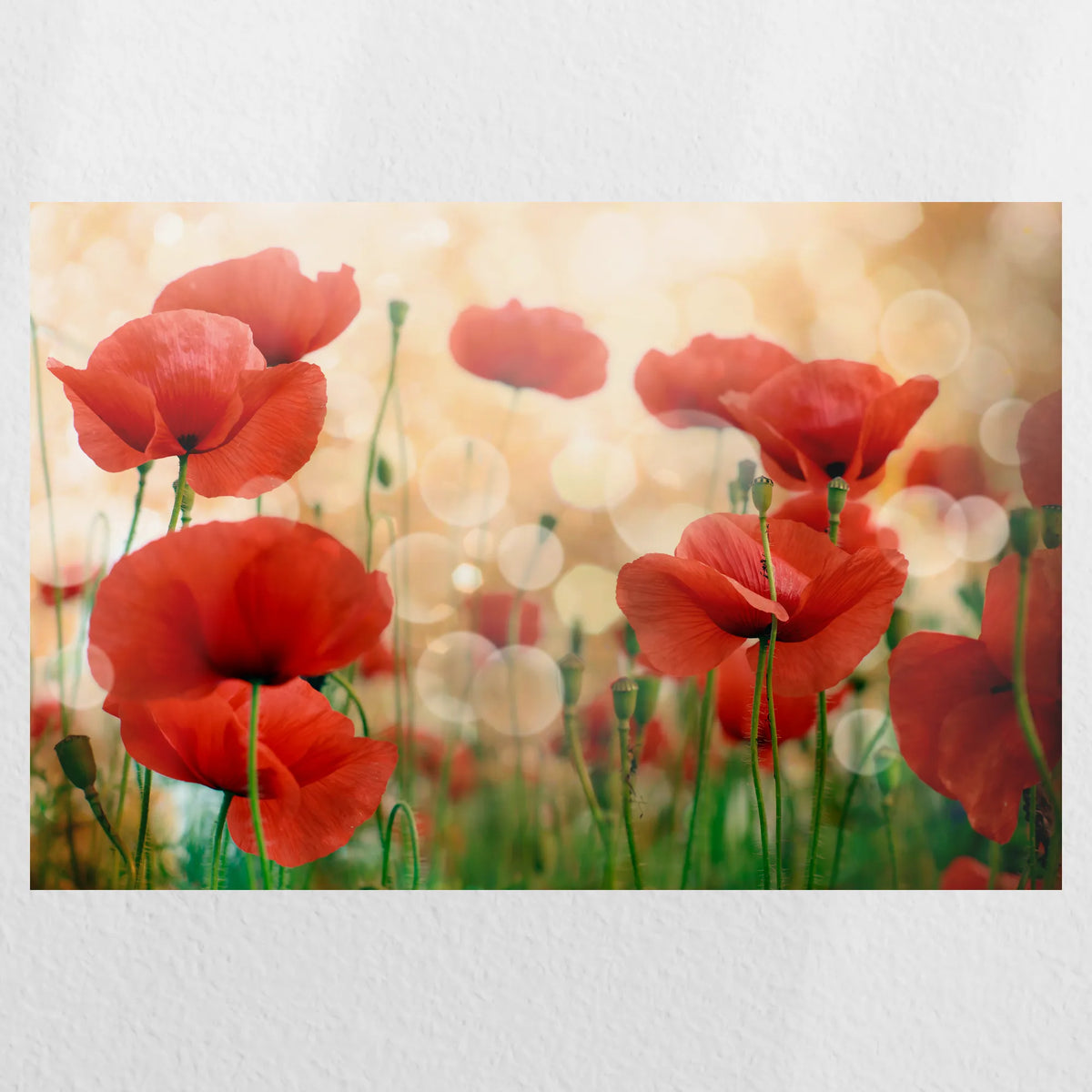 PO-060W040