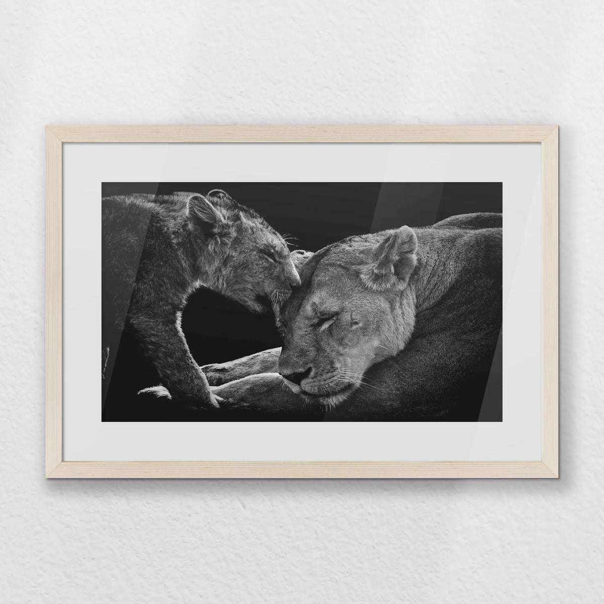 PNP060W040