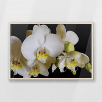 PN-093W062