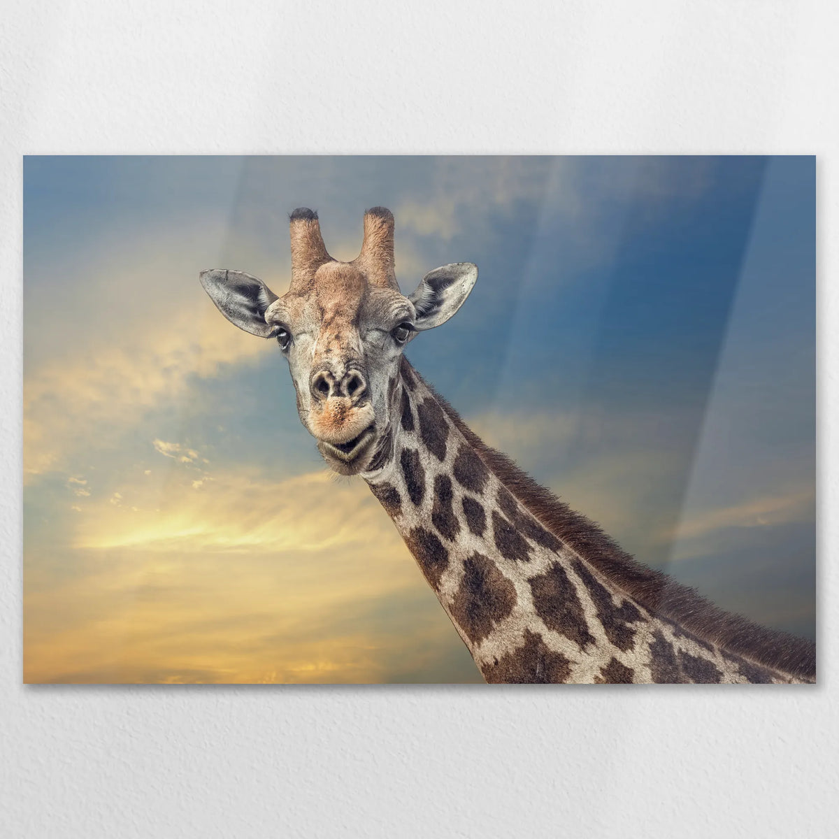 AL-120W080