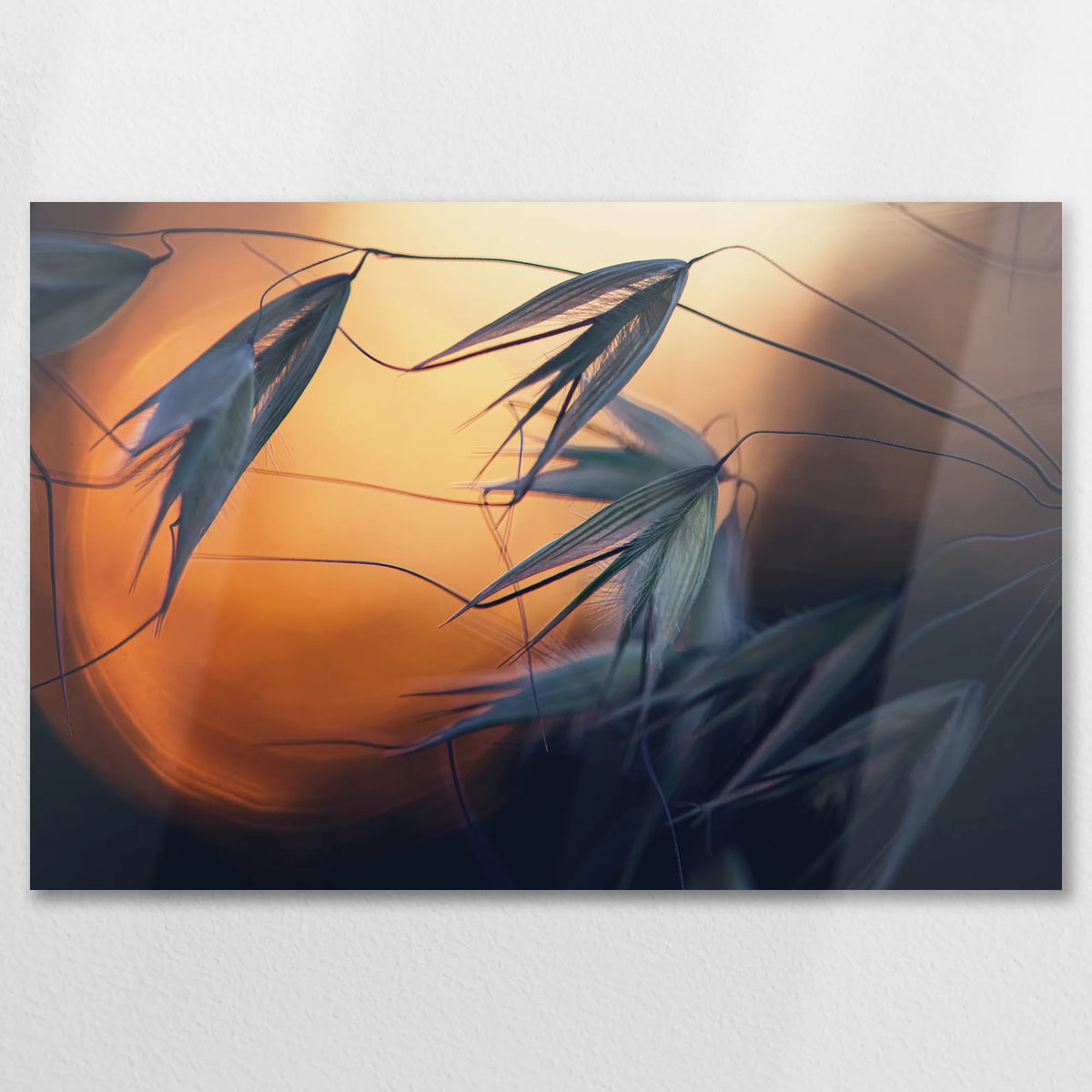 AL-075W050