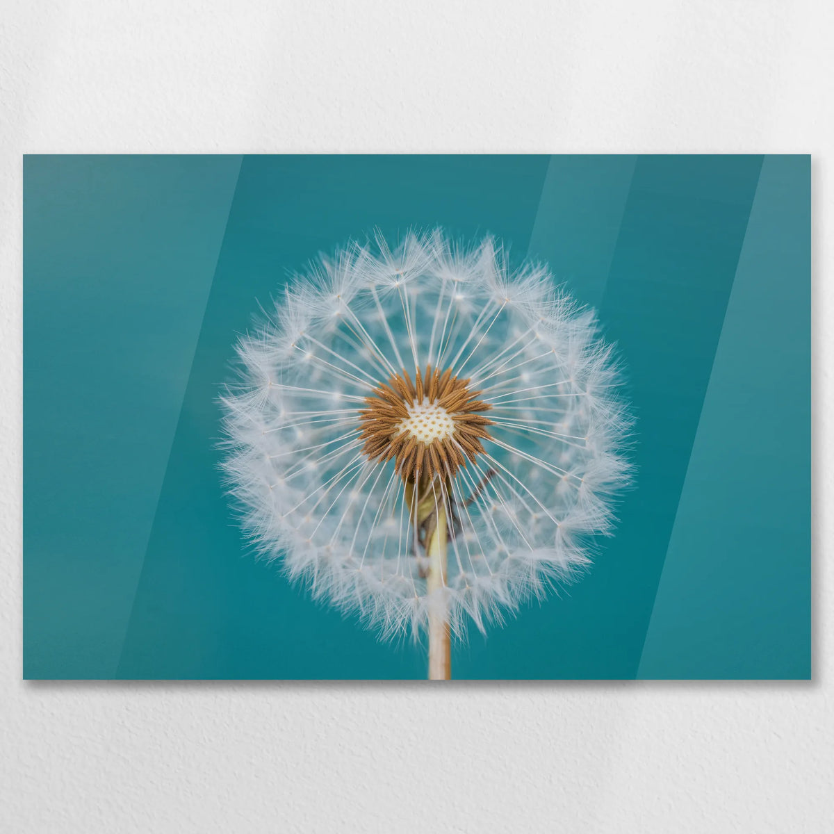 AC-075W050