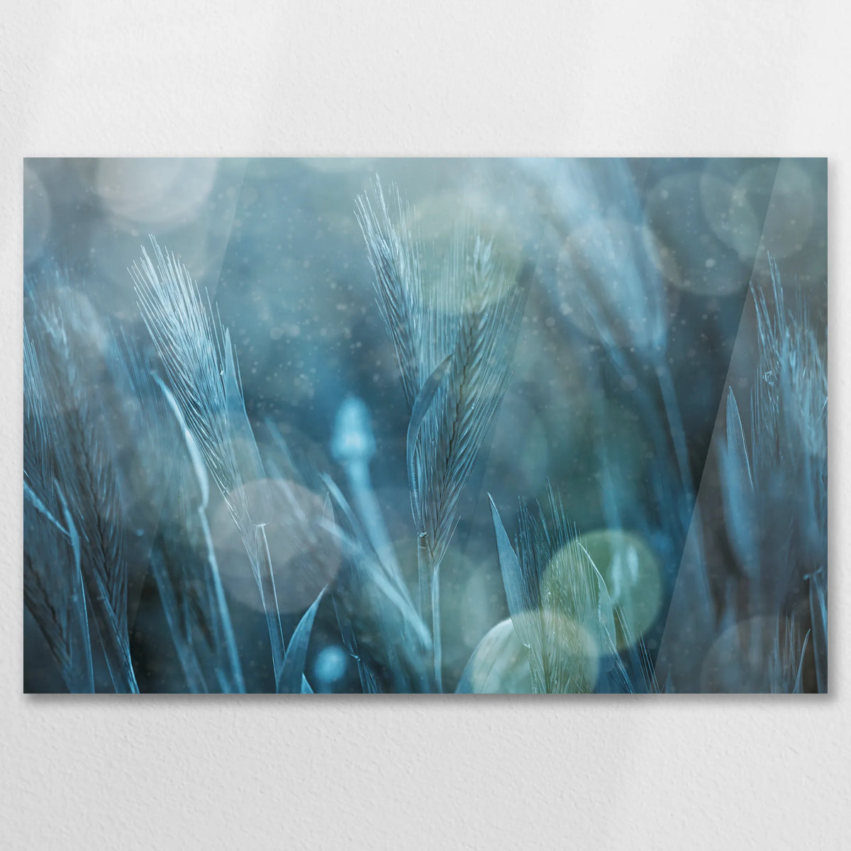 AC-075W050