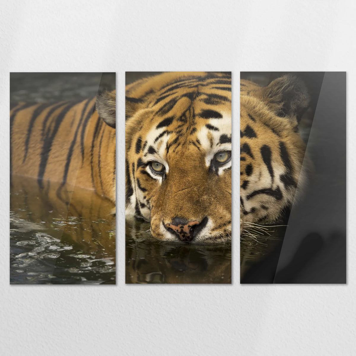 AC-180R120