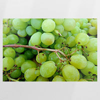 PO-090W060