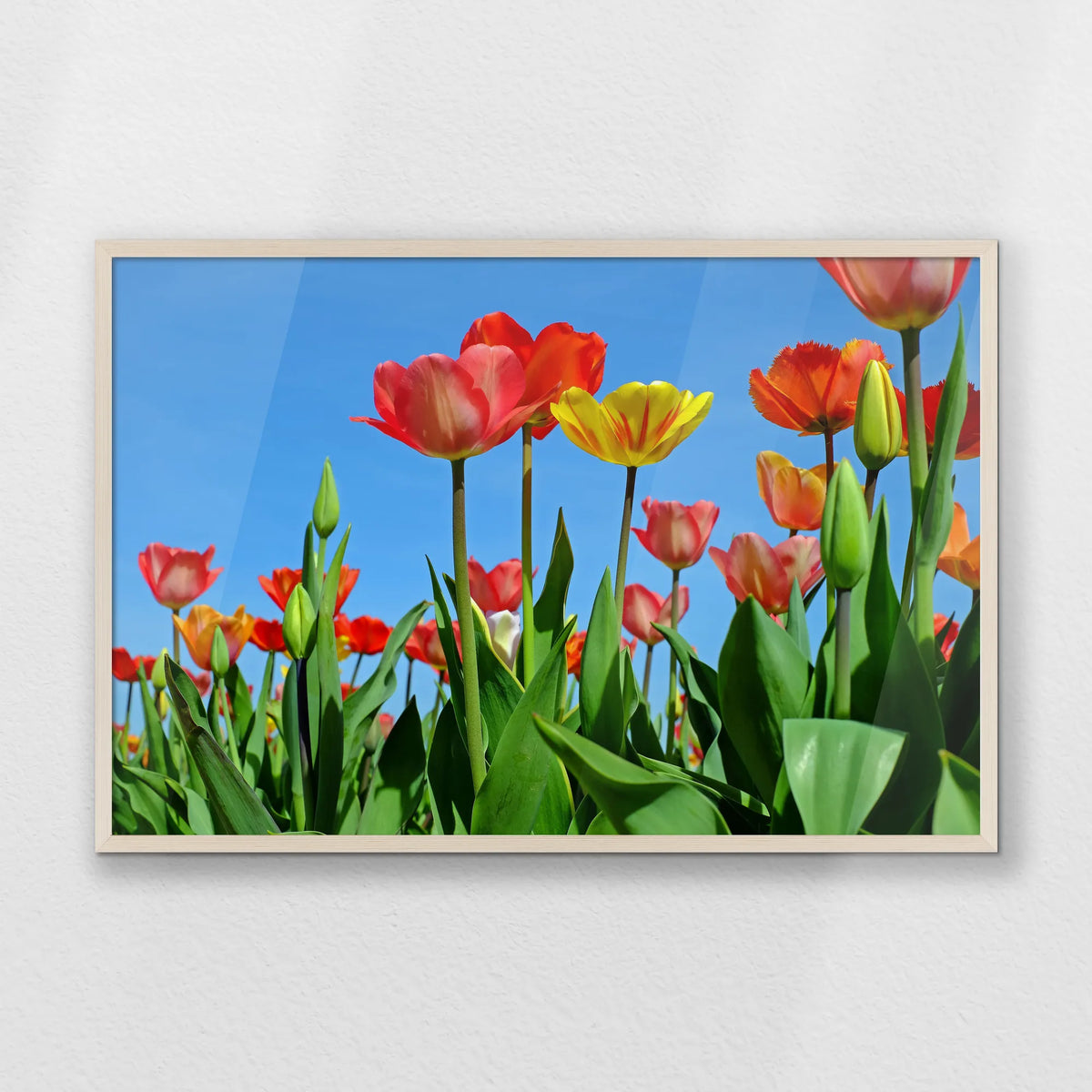 PN-093W062