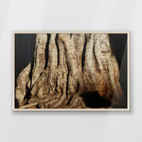 PN-093W062