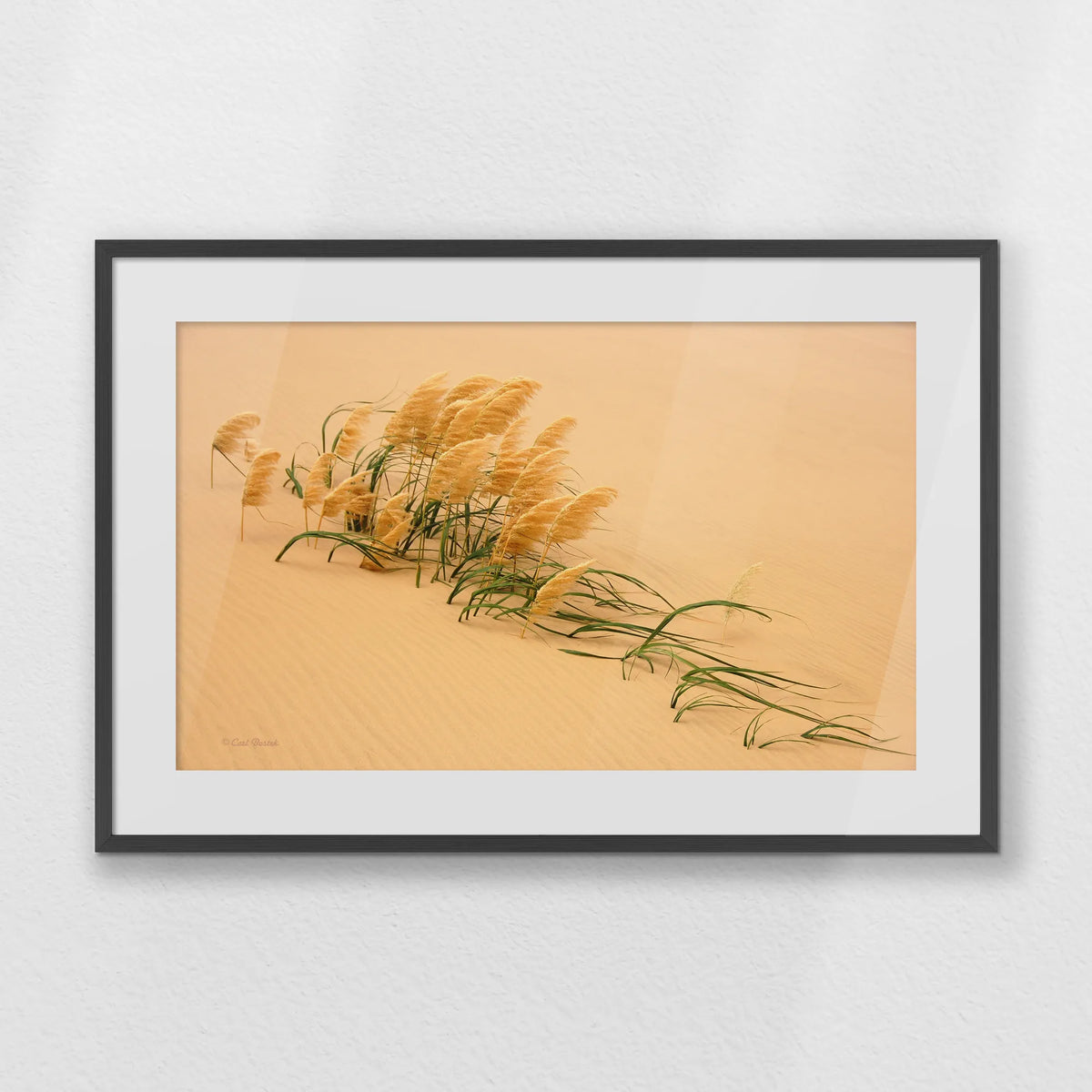 PKP093W062