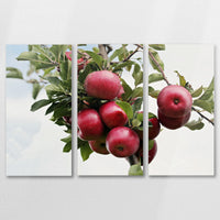 AC-090R060