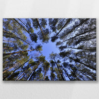 LW-060W040