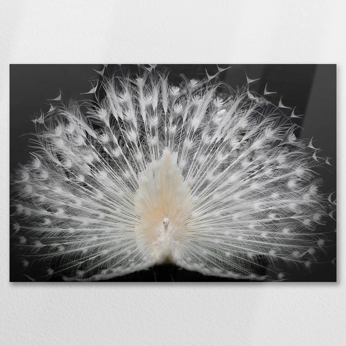 AL-075W050